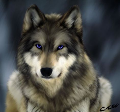 blue_eyed_wolf.jpg